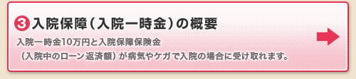 3.���@�ۏ�i���@�ꎞ���j�̊T�v�͂����炩��