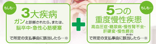 �������E�E�E3�厾�a�@�������E�E�E5�̏d�x��������