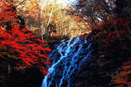 「晩秋の布滝」