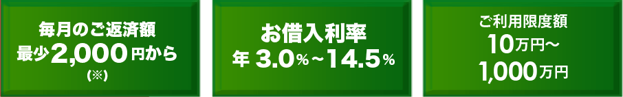 毎月のご返済額最少2,000円から(※)　お借入利率年3.0%～14.5%　ご利用限度額10万円〜1,000万円