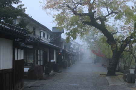 「晩秋の朝」