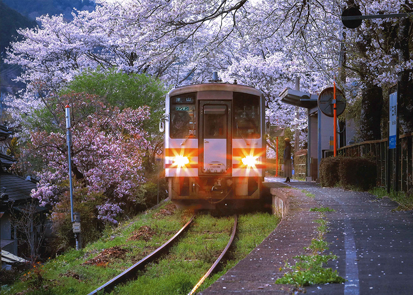 「桜色に染まる季節」