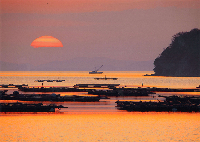 「瀬戸内の朝景」