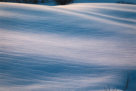 「雪原」