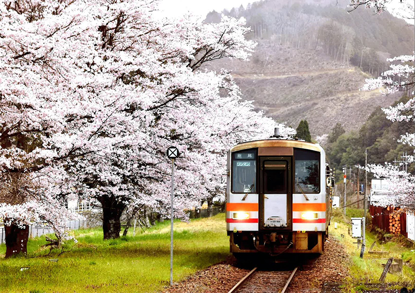 「『春うらら各駅停⾞」
